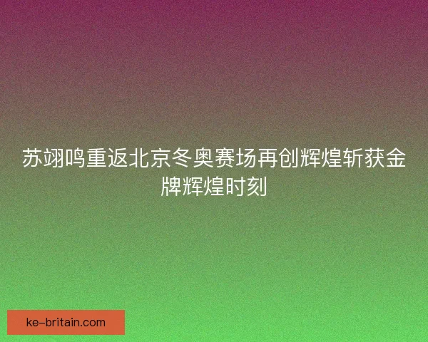 苏翊鸣重返北京冬奥赛场再创辉煌斩获金牌辉煌时刻